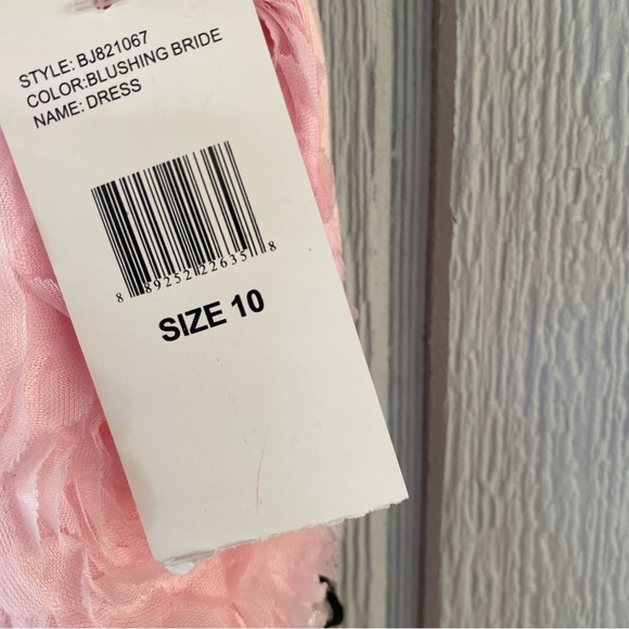 Betsy Johnson Girls pink Flowers dress with tags still attached size 10 Girls - Picture 3 of 6